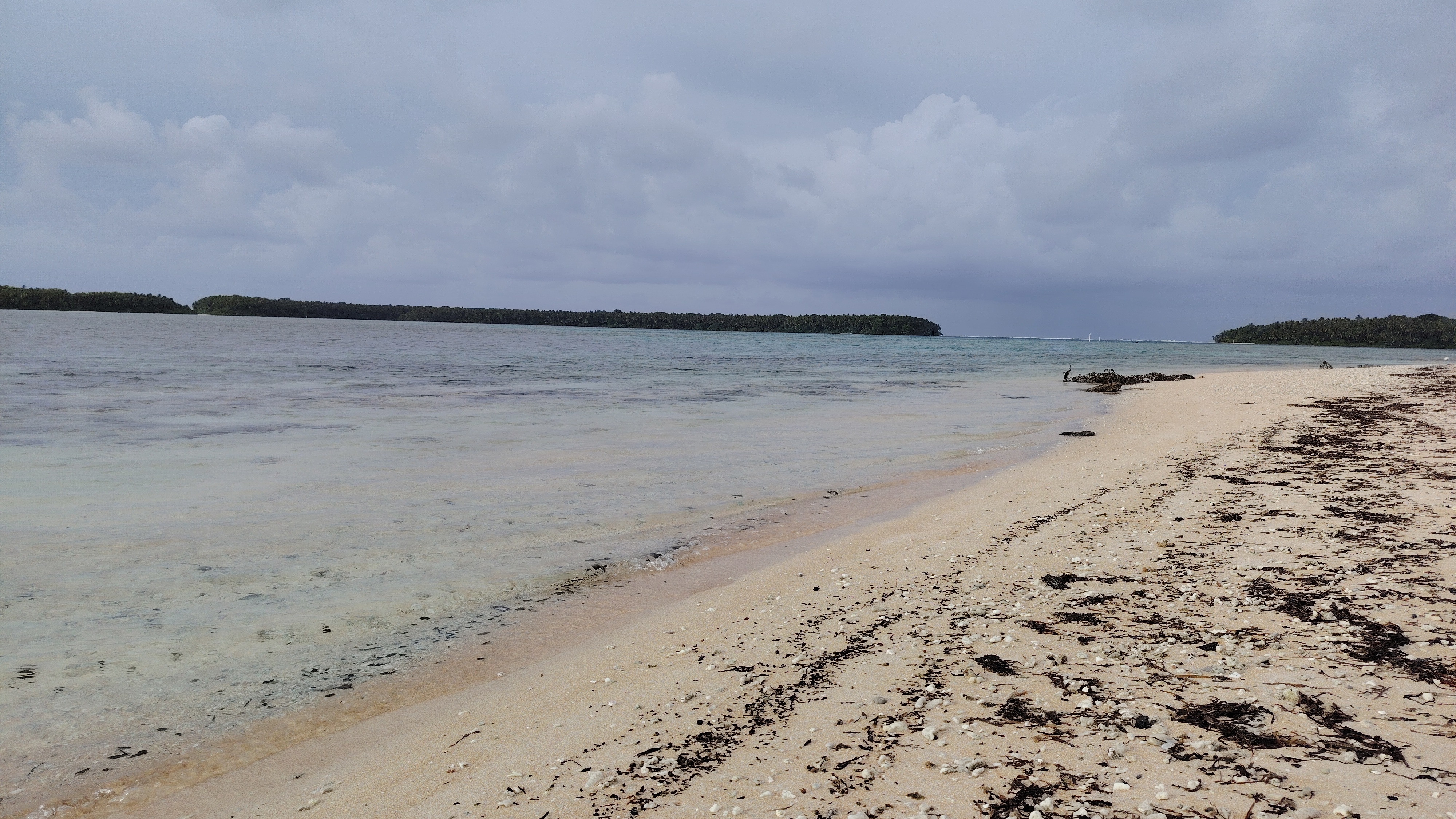 Solar Energy Processing